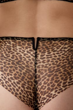 Boyshort in Tulle;${refinementColor}