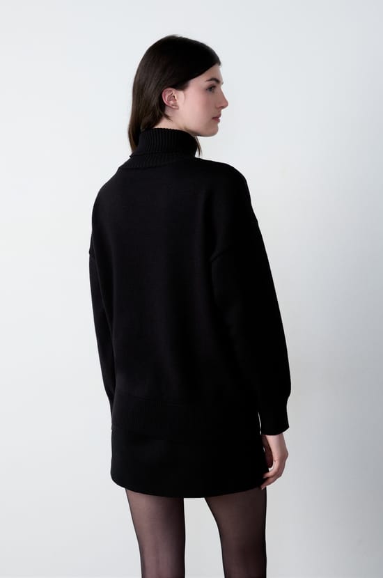 Pull col roulé;${refinementColor}