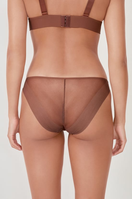 Mesh brief;${refinementColor}