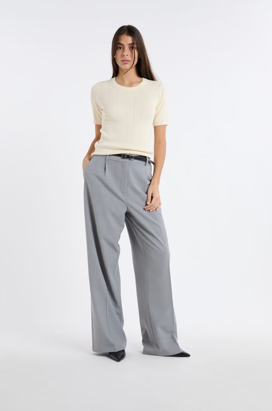 Pantalon de tailleur large;${refinementColor}