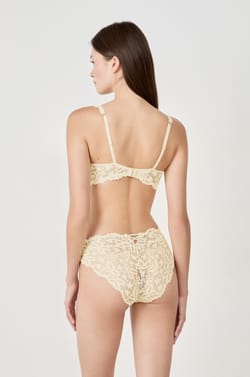 Lace Brief;${refinementColor}