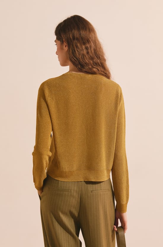 Pull manches longues iris&eacute;;${refinementColor}