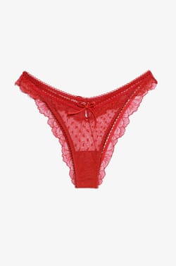 Tulle and Lace Brief;${refinementColor}