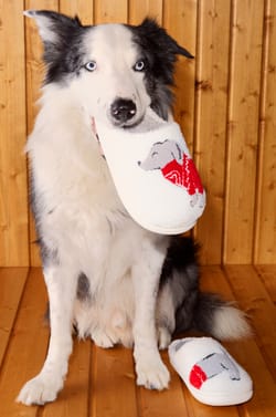 Chaussons à motif teckel en fausse fourrure;${refinementColor}