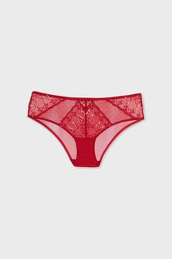 Embroidered Tulle Boyshorts;${refinementColor}
