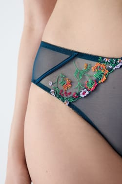 Embroidered Tulle Hipster;${refinementColor}