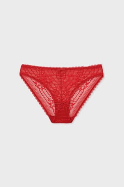 Lace Brief;${refinementColor}