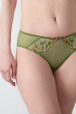 Embroidered Tulle Hipster;${refinementColor}