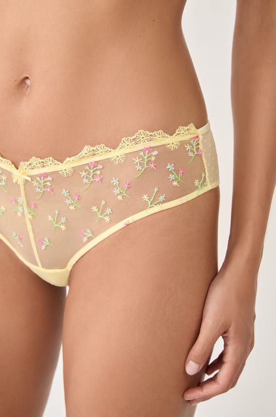 Embroidered Detail Hipster;${refinementColor}