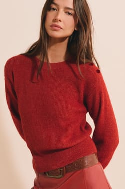 Pull manches longues avec d&eacute;tails boutons;${refinementColor}