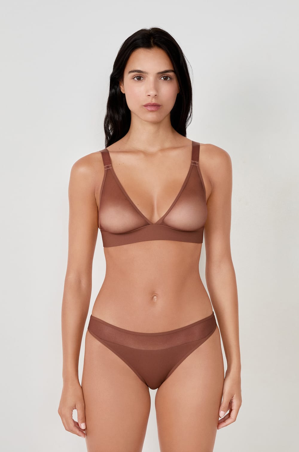 Mesh brief;${refinementColor}