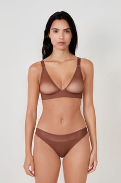 Mesh brief;${refinementColor}