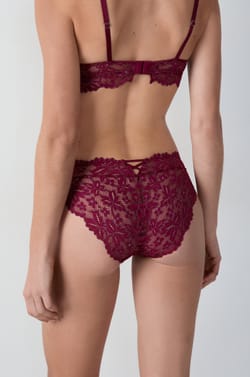 Lace Brief;${refinementColor}