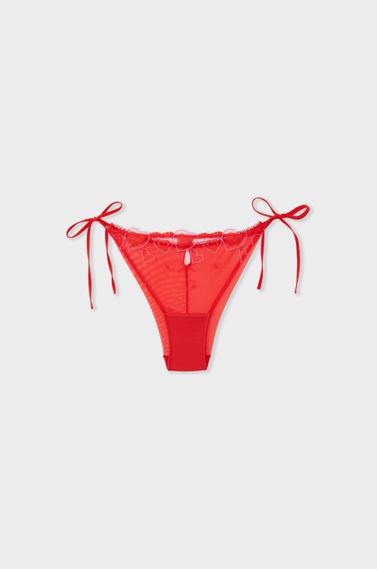 Embroidered Briefs with Heart Motifs;${refinementColor}