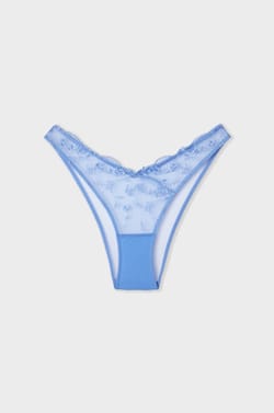 Embroidered Brazilian Brief;${refinementColor}