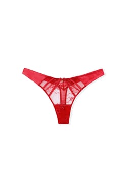 Lace and Satin Thong;${refinementColor}