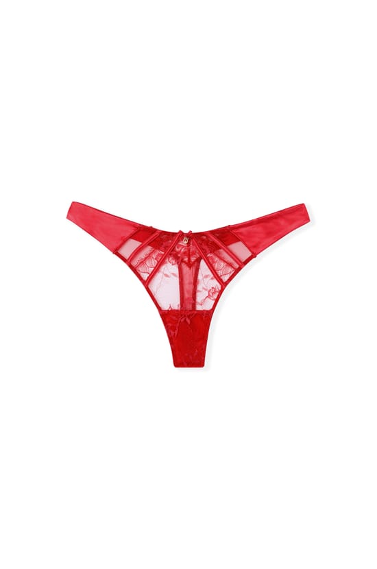 Lace and Satin Thong;${refinementColor}