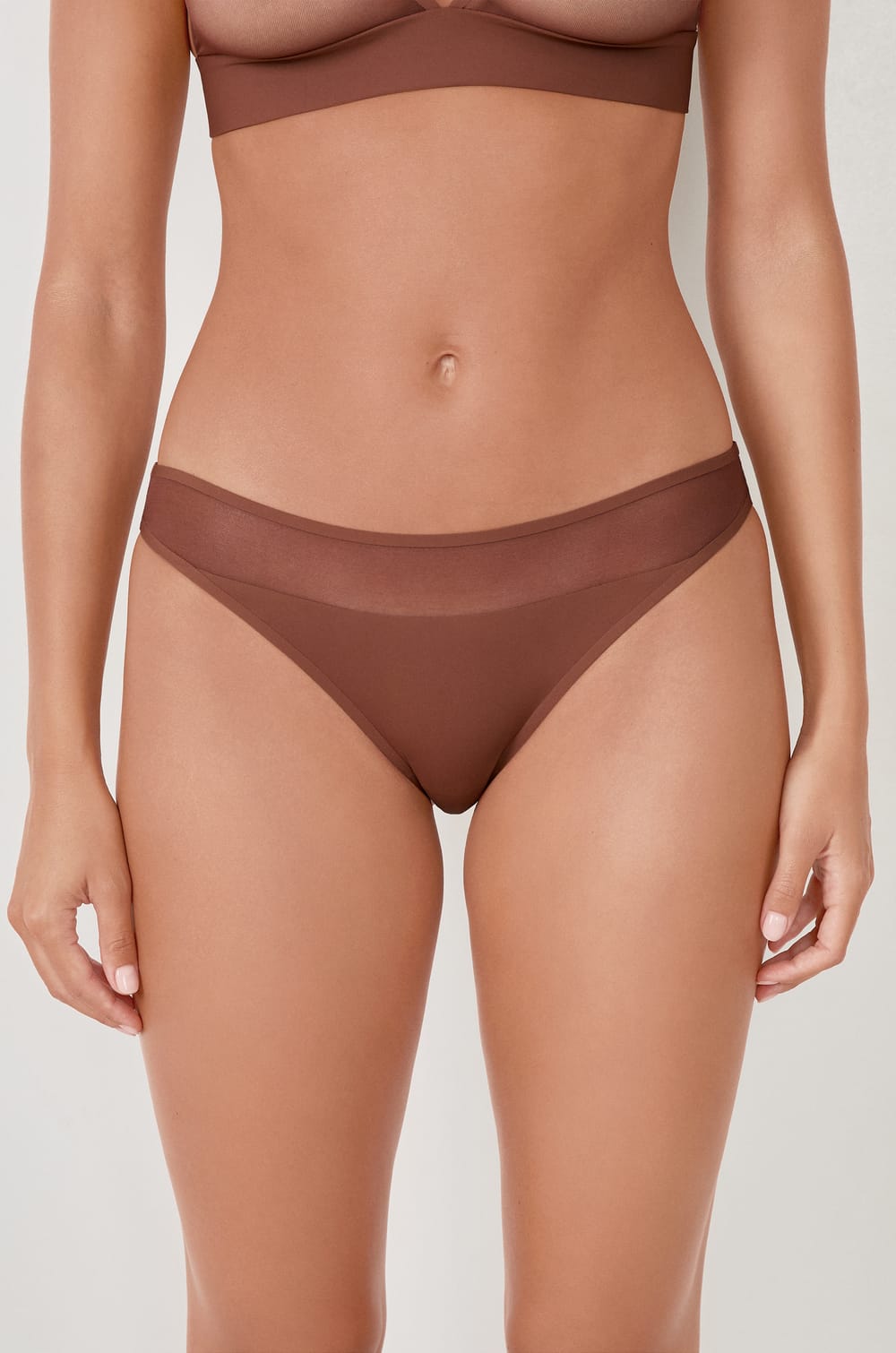 Mesh brief;${refinementColor}