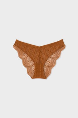 Lace Brief;${refinementColor}