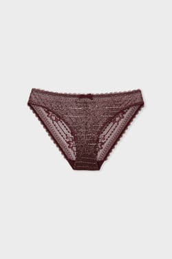 Iridescent lace brief;${refinementColor}
