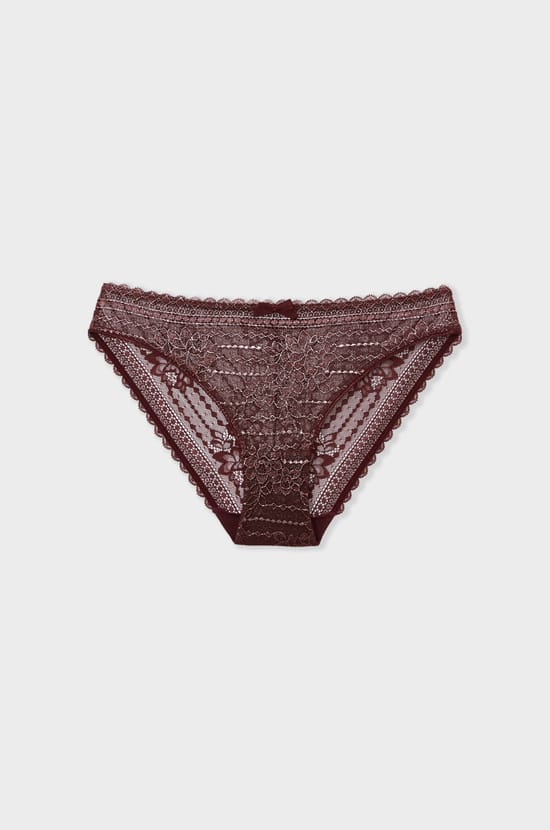 Iridescent lace brief;${refinementColor}