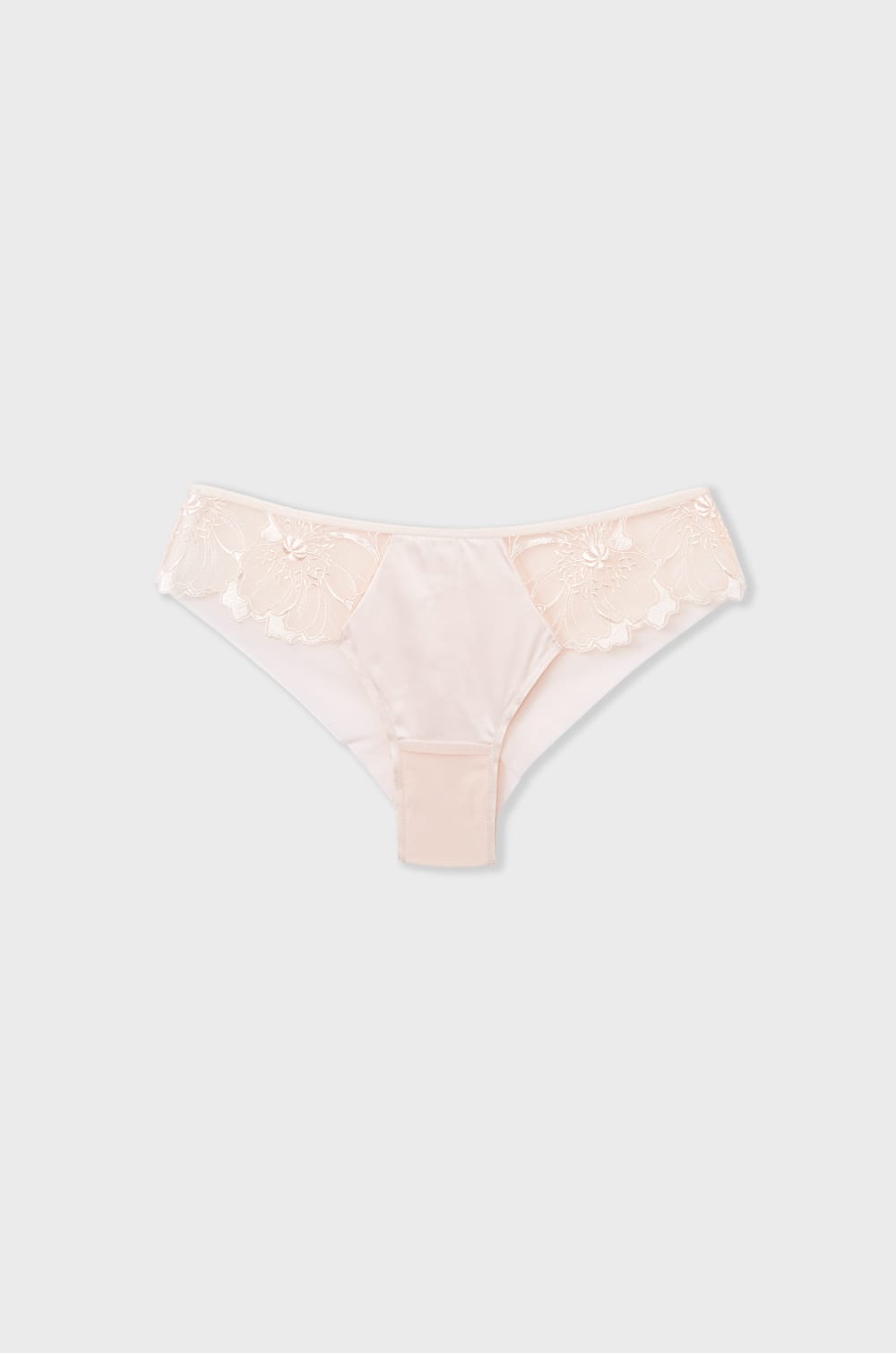 Panty tipo hipster de tul bordado;${refinementColor}