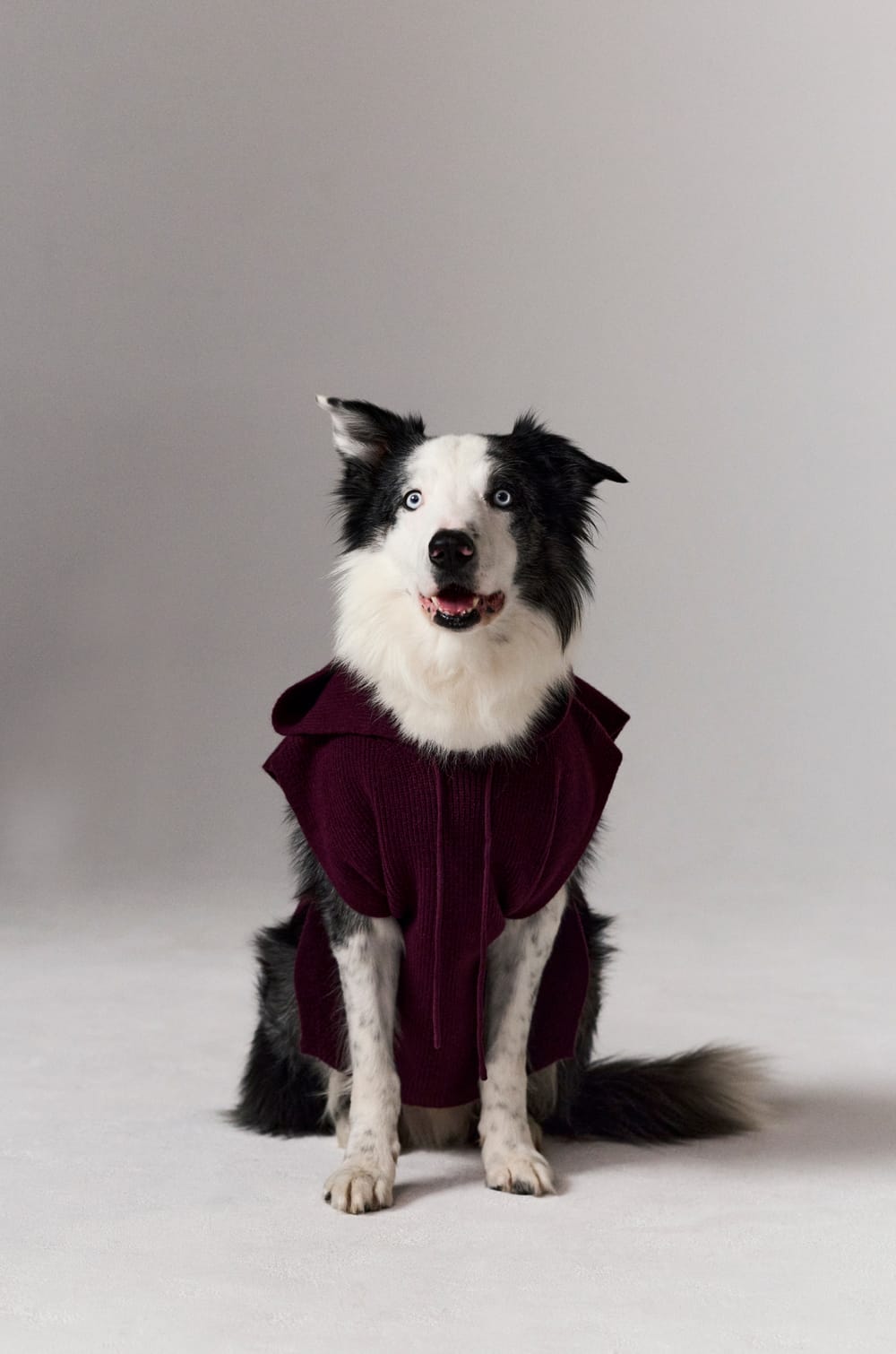 Col amovible cagoule avec capuche;${refinementColor}