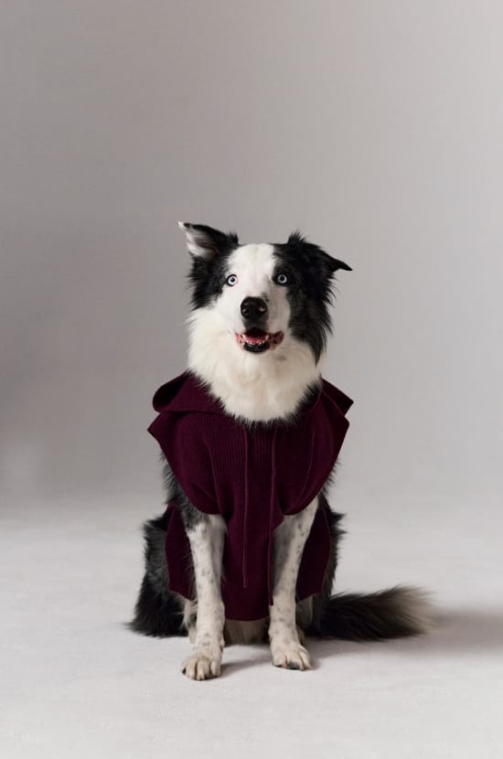 Removable Hood Collar with Hood;${refinementColor}