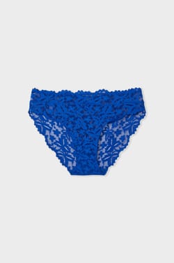 Lace Brief;${refinementColor}