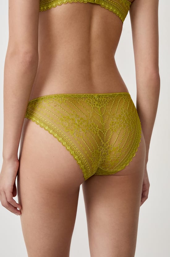 Lace Brief;${refinementColor}