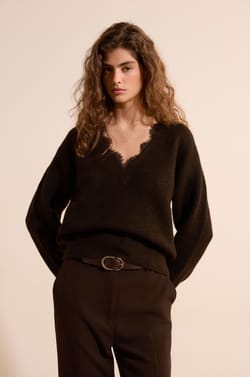 Pull avec d&eacute;tails dentelle;${refinementColor}