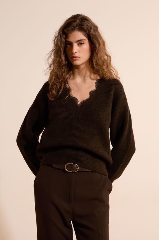 Pull avec d&eacute;tails dentelle;${refinementColor}