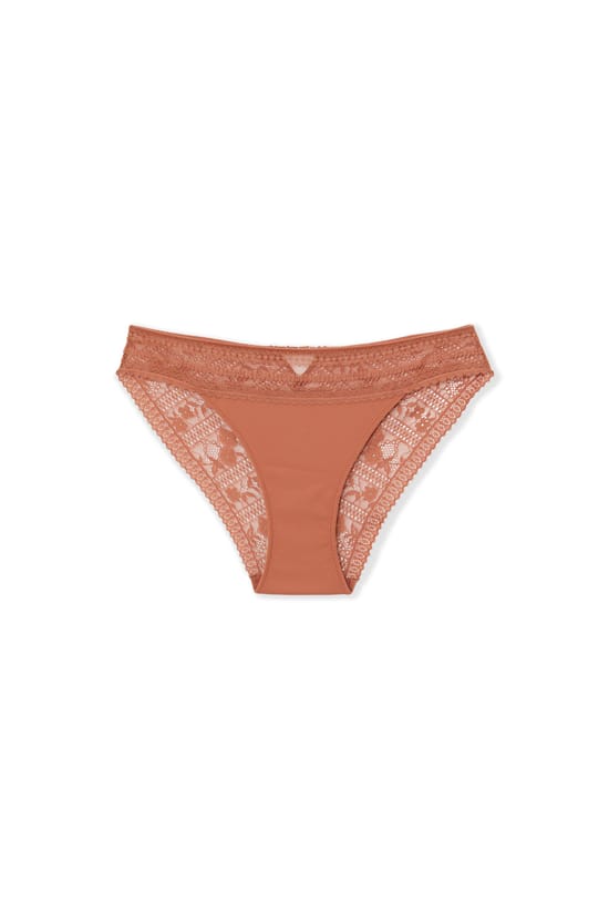 Lace Brief;${refinementColor}