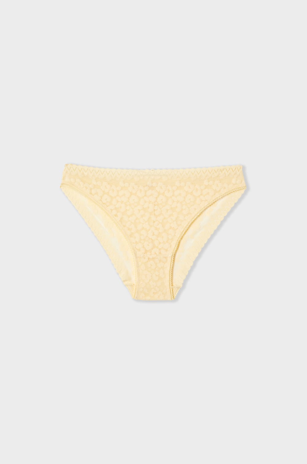 Cotton and Lace Brief;${refinementColor}