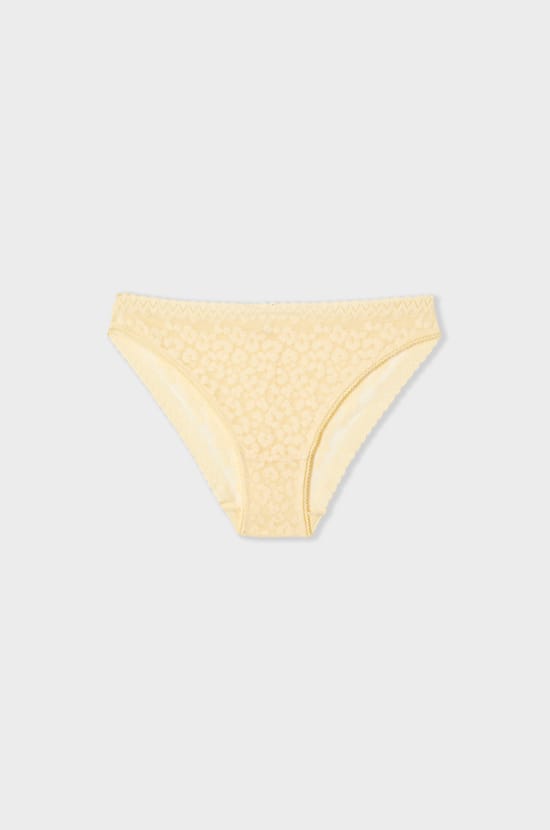 Cotton and Lace Brief;${refinementColor}