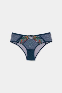 Embroidered Tulle Hipster;${refinementColor}