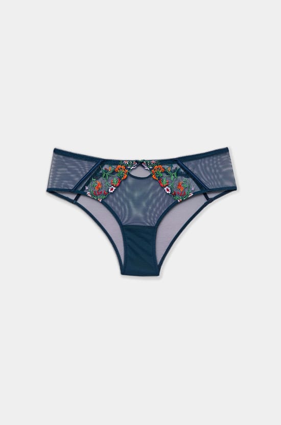 Embroidered Tulle Hipster;${refinementColor}