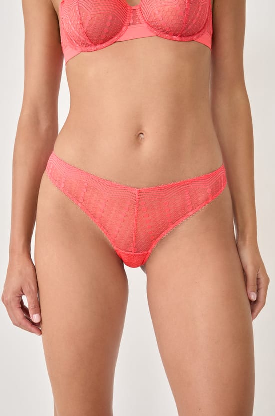 Lace Brief;${refinementColor}