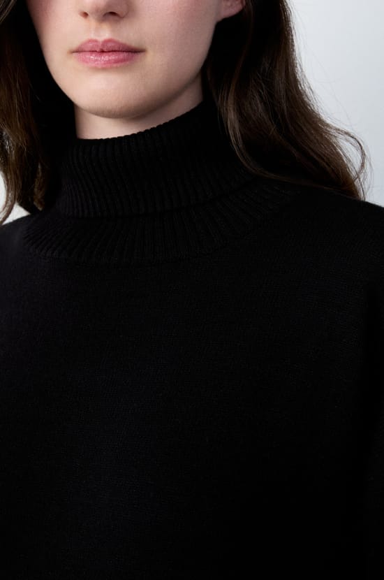 Pull col roulé;${refinementColor}