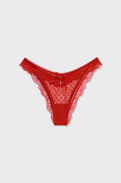 Tulle and Lace Brief;${refinementColor}