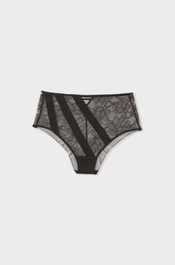 Midi Lace Briefs;${refinementColor}
