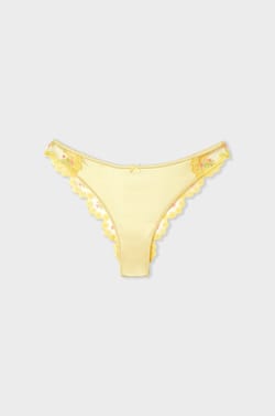 Briefs with embroidered details;${refinementColor}