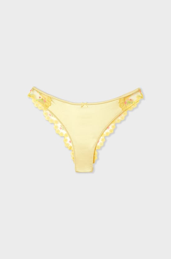 Briefs with embroidered details;${refinementColor}