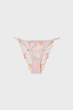 Embroidered Briefs;${refinementColor}