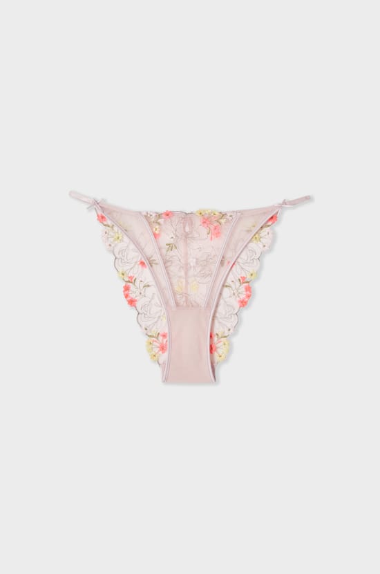 Embroidered Briefs;${refinementColor}