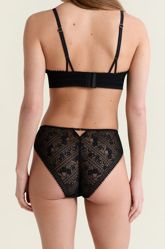 Lace and Microfibre Briefs;${refinementColor}