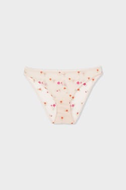 Briefs with Embroidered Motifs;${refinementColor}