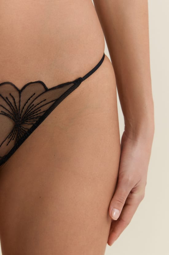 Embroidered Brief;${refinementColor}