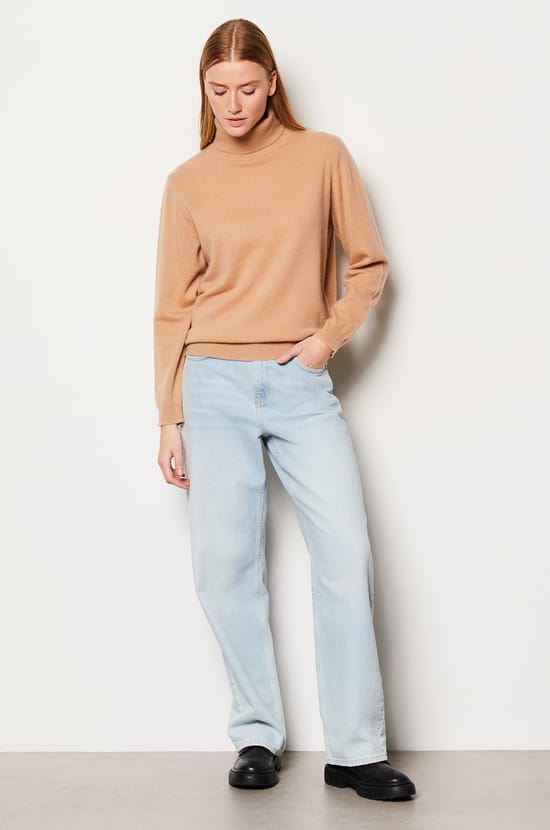 Pull col roulé 100% cachemire;${refinementColor}
