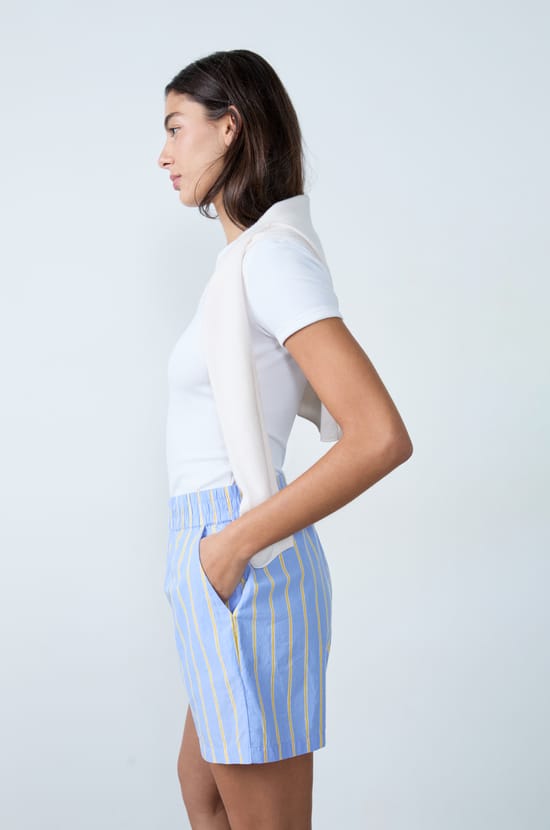 Striped Shorts;${refinementColor}